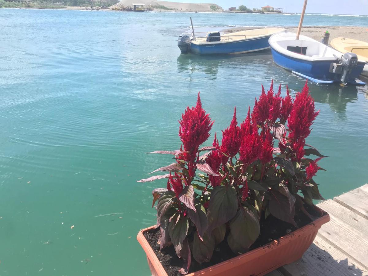Villa Kucica Na Adi Bojani à Ulcinj Extérieur photo
